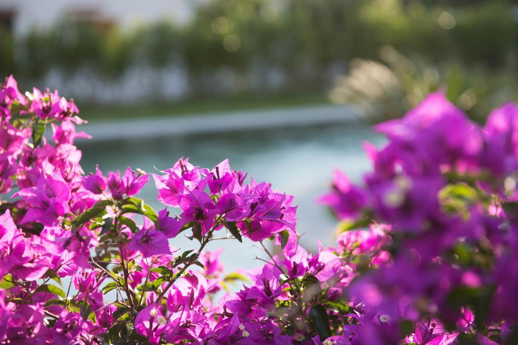 Romantic Hotel & Restaurant Villa Cheta Elite Маратея Экстерьер фото